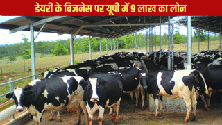 डेयरी बिजनेस पर यूपी में मिलता है 9 लाख का लोन, इन शर्तों को पूरा करते हैं तो आज ही कर दें अप्लाई