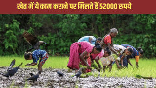 यूपी सरकार की गजब स्कीम, खेत में ये काम कराने पर मिलते हैं 52 हजार रुपये, जाने कैसे करना होता है आवेदन