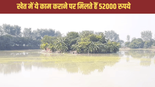 यूपी सरकार की गजब स्कीम, खेत में ये काम कराने पर मिलते हैं 52 हजार रुपये, जाने कैसे करना होता है आवेदन