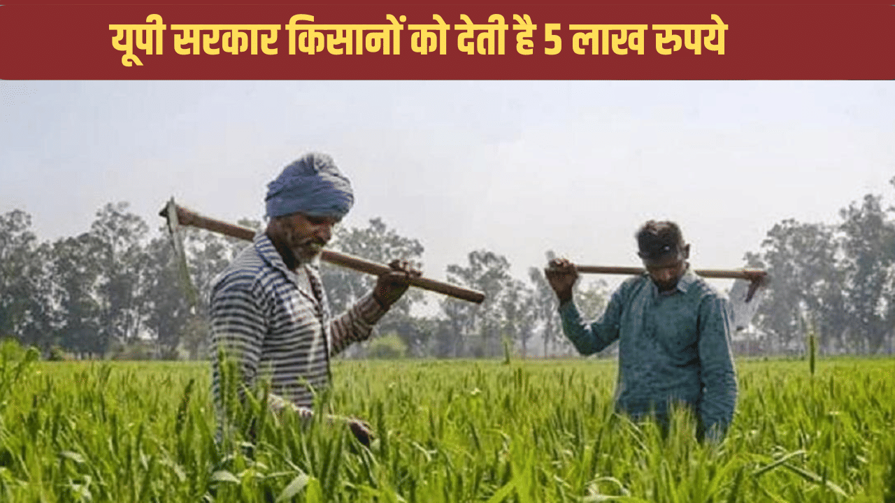 यूपी सरकार की बढ़िया स्कीम, किसानों को इसलिए दिए जाते हैं 5 लाख रुपये, ऐसे करें आवेदन