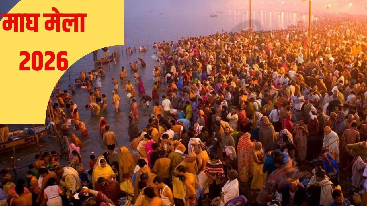 माघ मेले में गंगा ने डाली अड़चन! पानी नहीं उतरने से बाधित हुई तैयारी, महाकुंभ की तर्ज पर होना है आयोजन माघ मेले में गंगा ने डाली अड़चन! पानी नहीं उतरने से बाधित हुई तैयारी, महाकुंभ की तर्ज पर होना है आयोजन