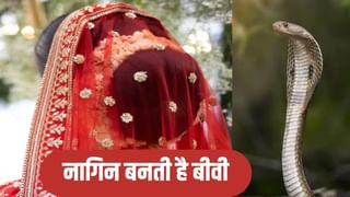 बिस्तर पर नागिन बन जाती है बीवी… संपूर्ण समाधान दिवस में युवक की गुहार, कहा- कई बार कर चुकी डसने का प्रयास
