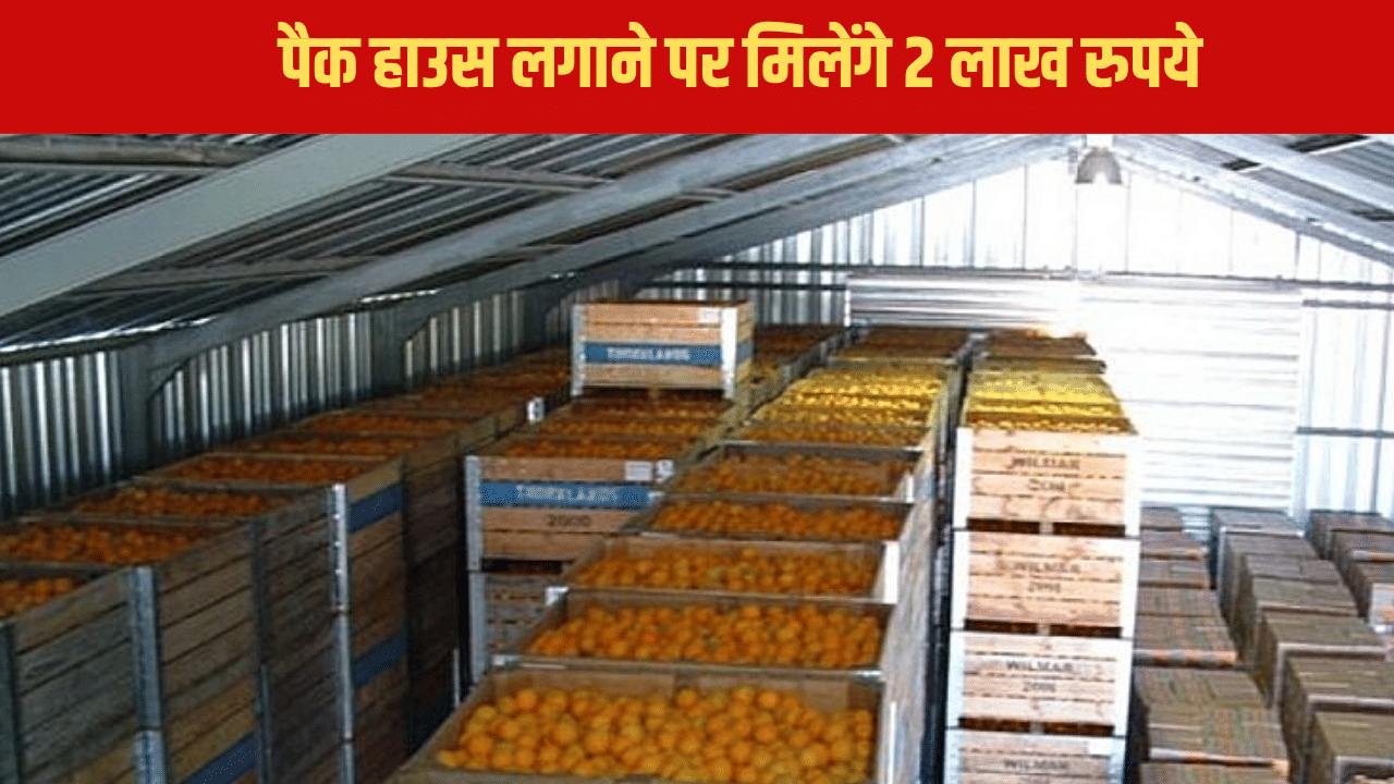 मोटा मुनाफा, नुकसान से बचेगा सब्जी-फल का स्टॉक, सरकार देगी 2 लाख की सब्सिडी मोटा मुनाफा, नुकसान से बचेगा सब्जी-फल का स्टॉक, सरकार देगी 2 लाख की सब्सिडी