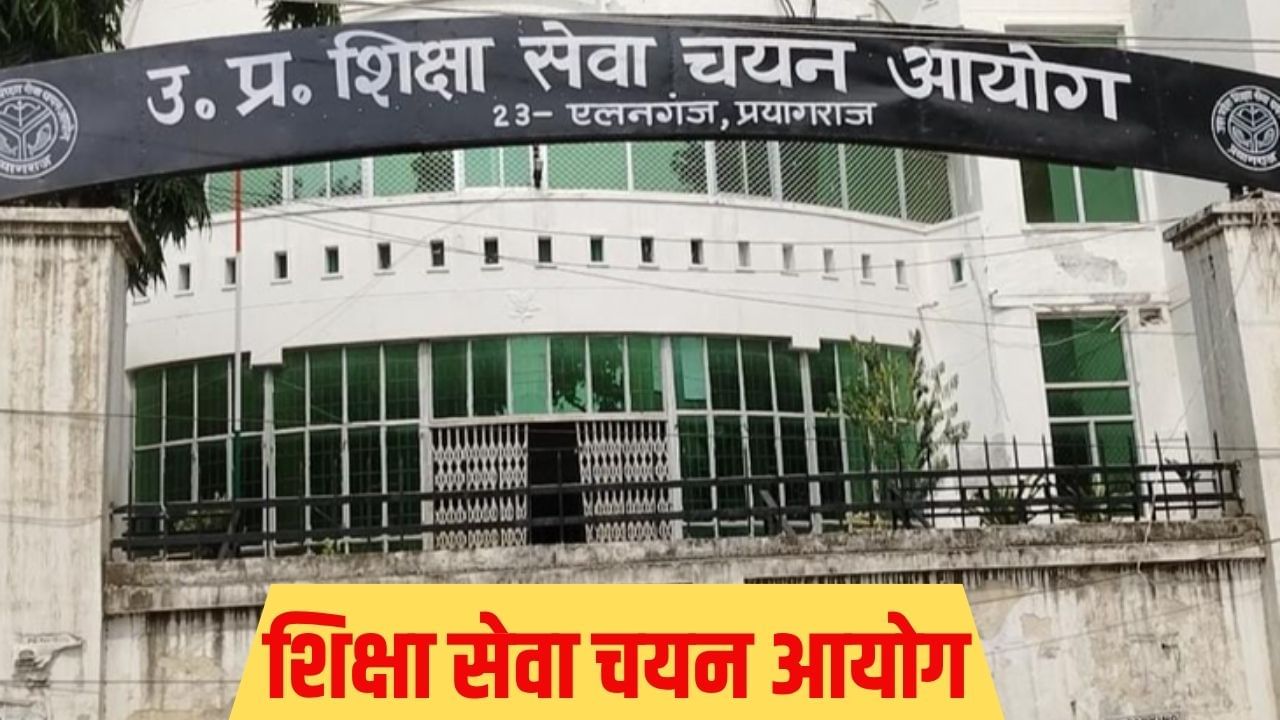 UP में फिर अटकी 2560 असिस्टेंट प्रोफेसरों की भर्ती, जानें अब क्या है अड़चन? UP में फिर अटकी 2560 असिस्टेंट प्रोफेसरों की भर्ती, जानें अब क्या है अड़चन?