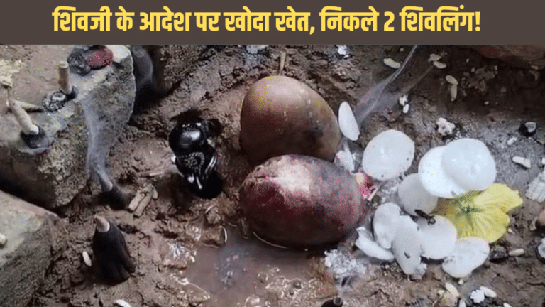 सपने में शिवजी आए, खेत खोदने का दिया आदेश… जमीन से निकले 2 शिवलिंग