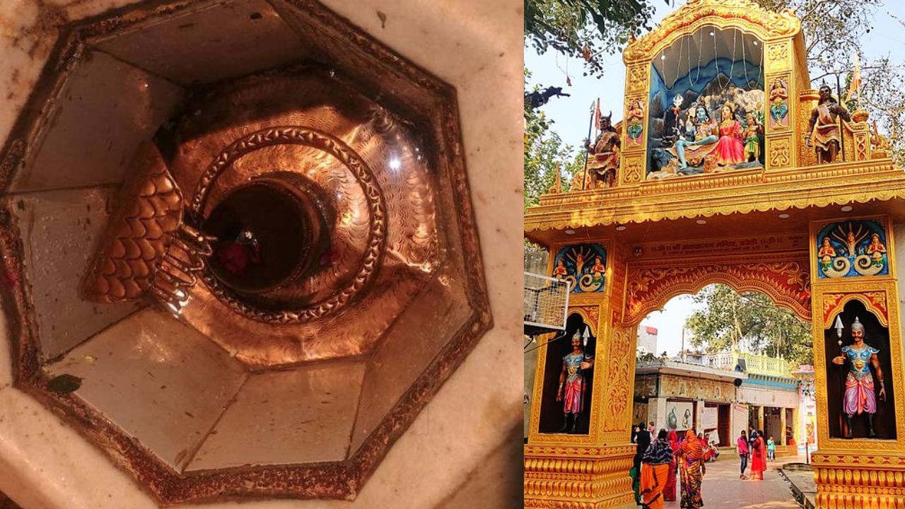 बरगद की जड़ से निकला शिवलिंग, अलखनाथ मंदिर की कहानी; जिसकी जमीन पर मुस्लिम शख्स ने किया दावा