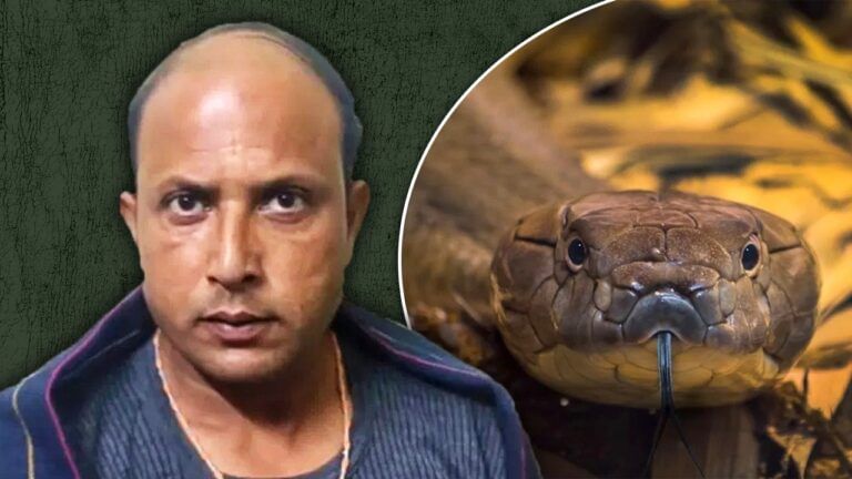 सांप ने काटा तो युवक ने कर दिया ये काम…हिम्मत देख सब रह गए दंग