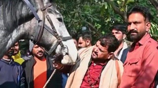 उम्र 2 साल, कीमत 2 करोड़… ब्रजभूषण शरण सिंह को बर्थडे गिफ्ट में मिला घोड़ा क्यों है खास?