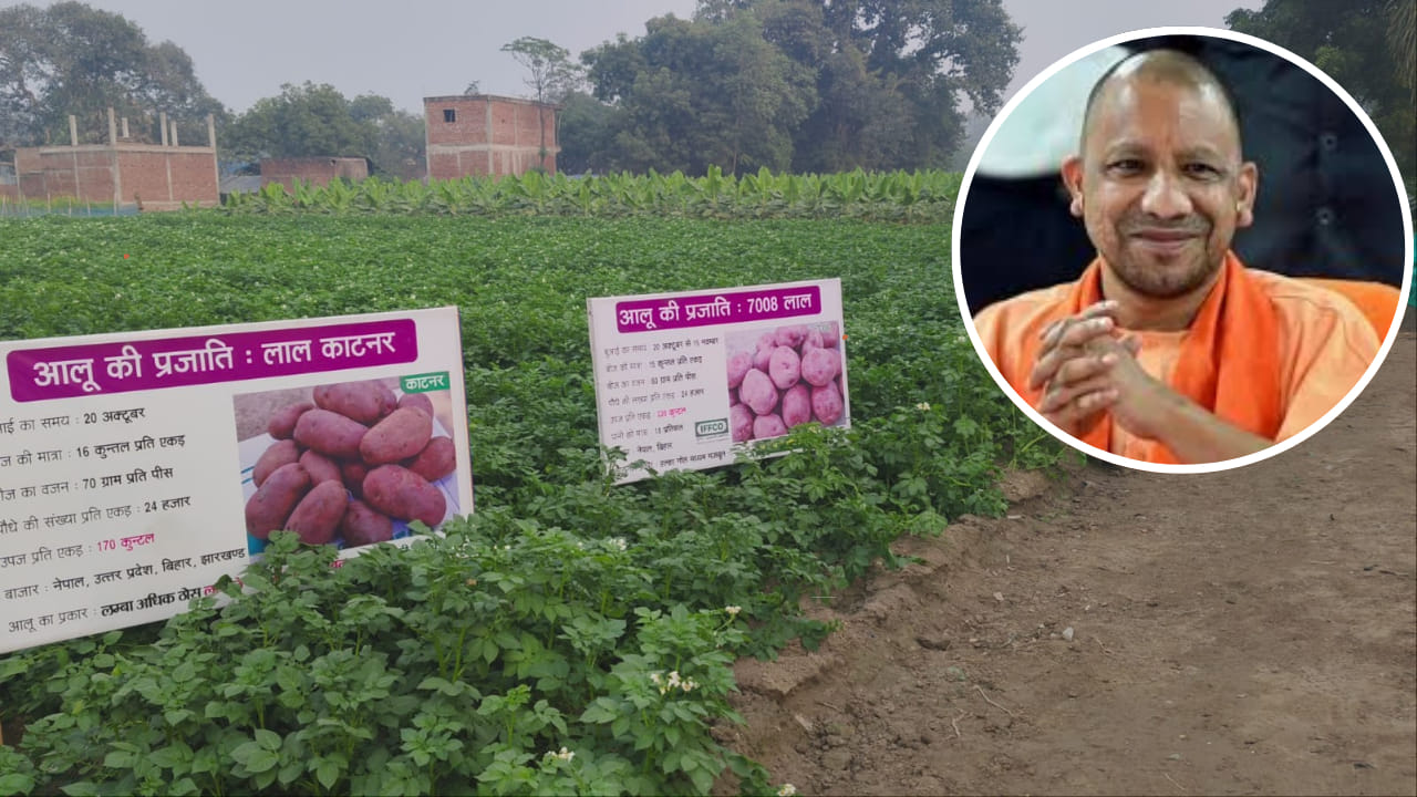 बाराबंकी: आज CM योगी पद्मश्री राम सरन वर्मा के खेत पर आएंगे, किसानों से खेती पर करेंगे बात