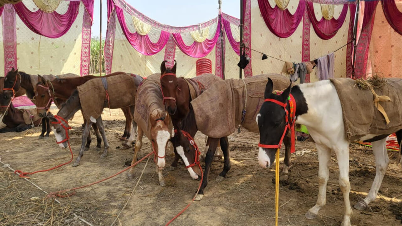 400 साल पुराना, पूर्वांचल की आस्था… सवा महीने तक चलने वाला गोविंद साहब मेला क्यों है खास?