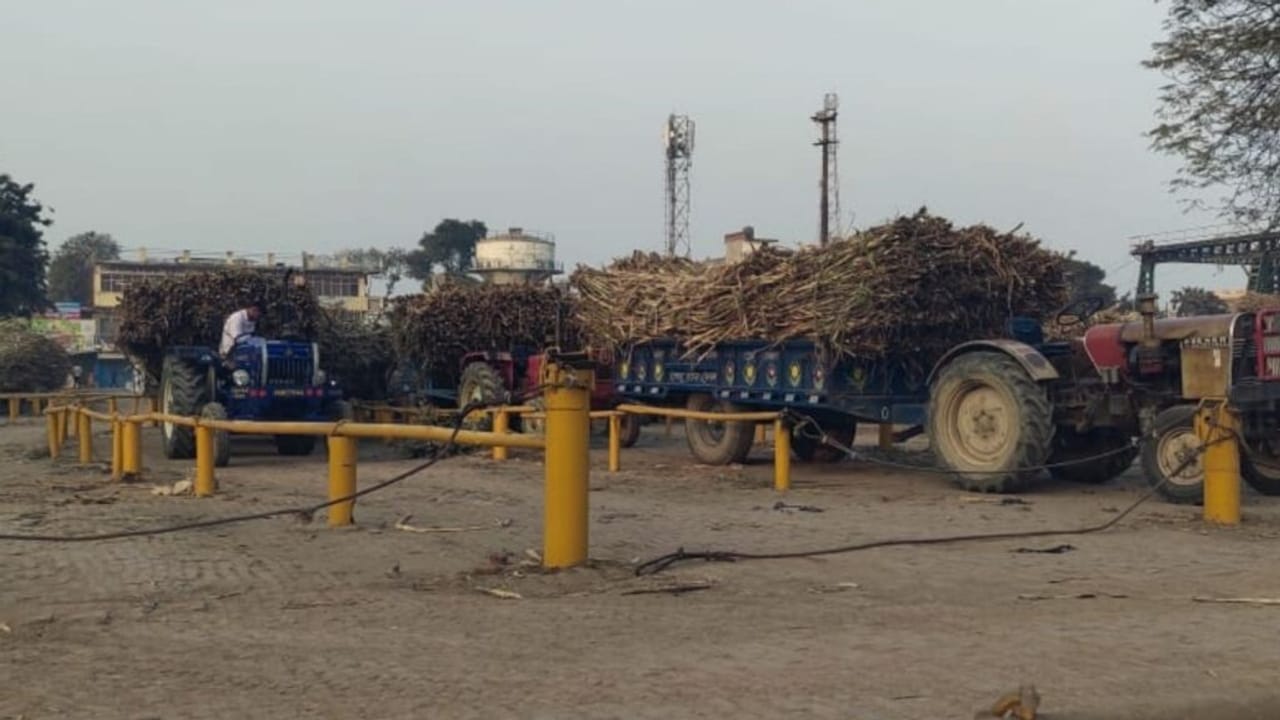 UP में एशिया की सबसे बड़ी गुड़ मंडी, ‘शुगर बाउल’ के नाम से है पहचान; देखें PHOTOS