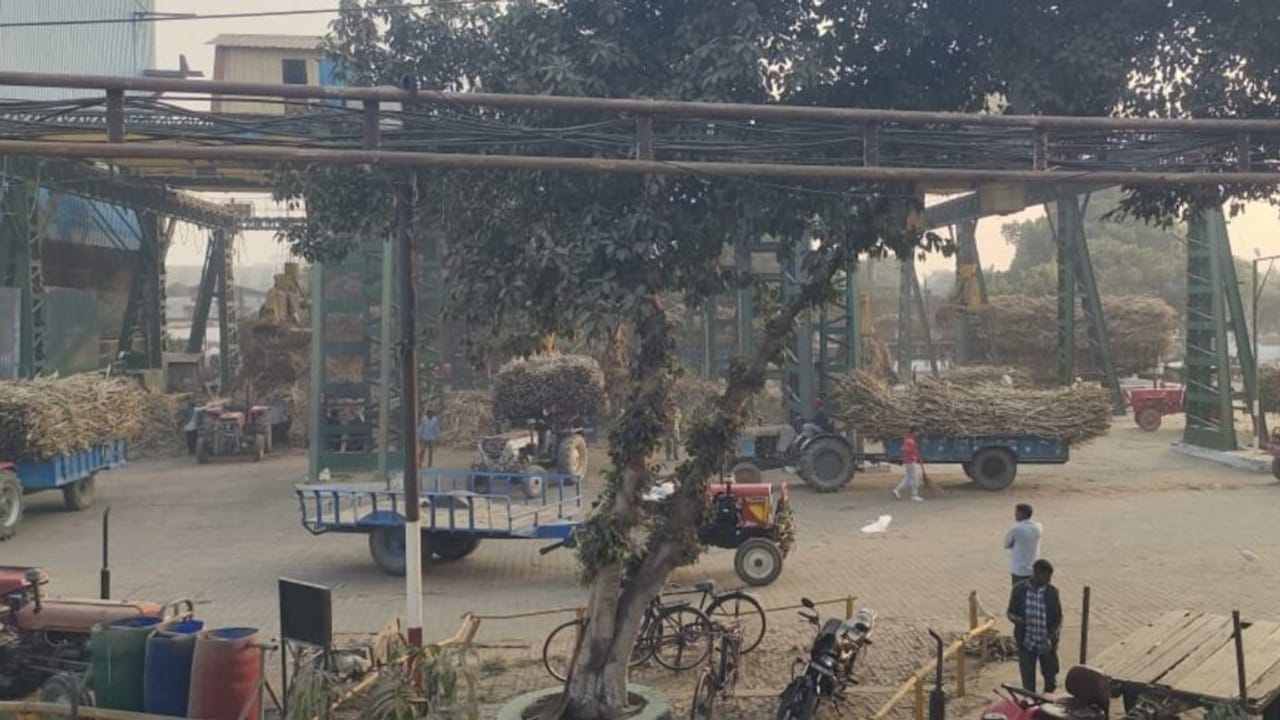 UP में एशिया की सबसे बड़ी गुड़ मंडी, ‘शुगर बाउल’ के नाम से है पहचान; देखें PHOTOS