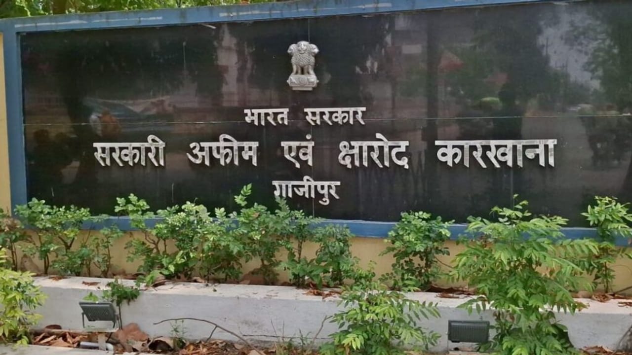 एशिया का सबसे बड़ा प्रासेसिंग केंद्र, फिर क्यों गाजीपुर में उजड़ गई अफीम की खेती? देखें Photos