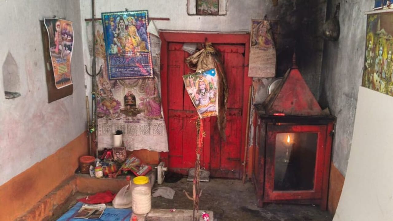 महाभारत काल के पारिजात वृक्ष पर फिर खिले फूल, बाराबंकी में उमड़ी पर्यटकों की भीड़