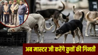 रायबरेली: अब कुत्तों की गिनती करेंगे टीचर…. SIR की ड्यूटी खत्म नहीं हुई, आ गया अजीबोगरीब फरमान!