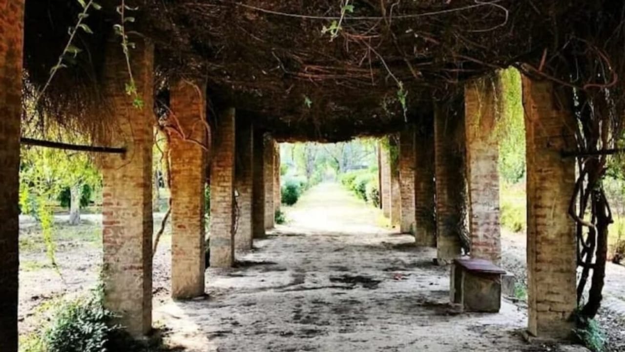 यूपी के इस फोर्ट को क्यों कहते हैं ‘बौना चोर किला’? हैरान कर देगा रहस्य; PHOTOS