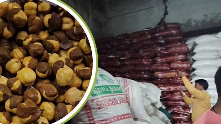 किडनी फेल कर सकता है ये भुना चना! गोरखपुर में पकड़ी गई इतनी बड़ी खेप