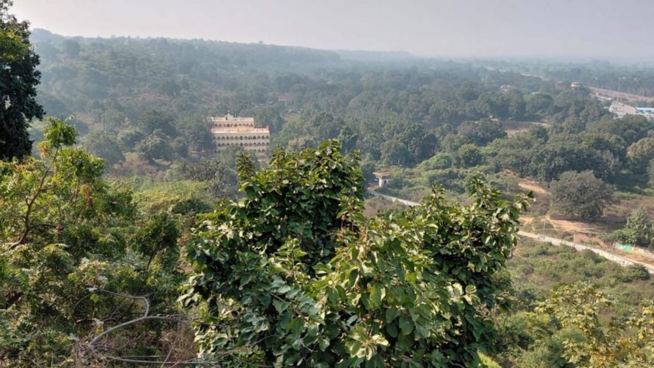 विंध्य पर्वत का क्यों झुका है सिर? हैरान कर देगी ये कहानी; देखें Photos