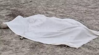 बदन पर नहीं था एक भी कपड़ा, कुत्तों ने चेहरा बुरी तरह नोंचा… कानपुर में सेल्समैन की हत्या