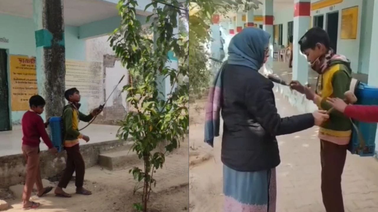 गजब गुरु जी! स्कूल में पढ़ने आए बच्चों की ही कमर पर बांध दिया कीटनाशक का ड्रम, पेड़ों पर कराया स्प्रे; Video