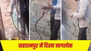 सहारनपुर का ‘नागलोक’! घर में एक के बाद एक निकलते गए सांप, देखते ही मचा हड़कंप; देखें Video