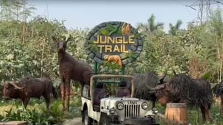 नोएडा में आज से खुल गया जंगल ट्रेल पार्क, कबाड़ से बनी हैं 650 जीव-जंतुओं की प्रतिमाएं, जानें क्या-क्या है सुविधा, PHOTOS