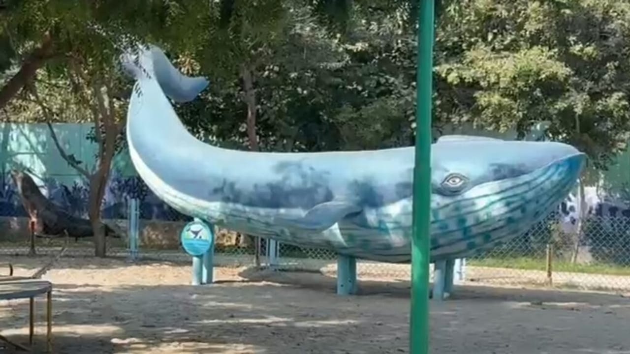 नोएडा में आज से खुल गया जंगल ट्रेल पार्क, कबाड़ से बनी हैं 650 जीव-जंतुओं की प्रतिमाएं, जानें क्या-क्या है सुविधा, PHOTOS