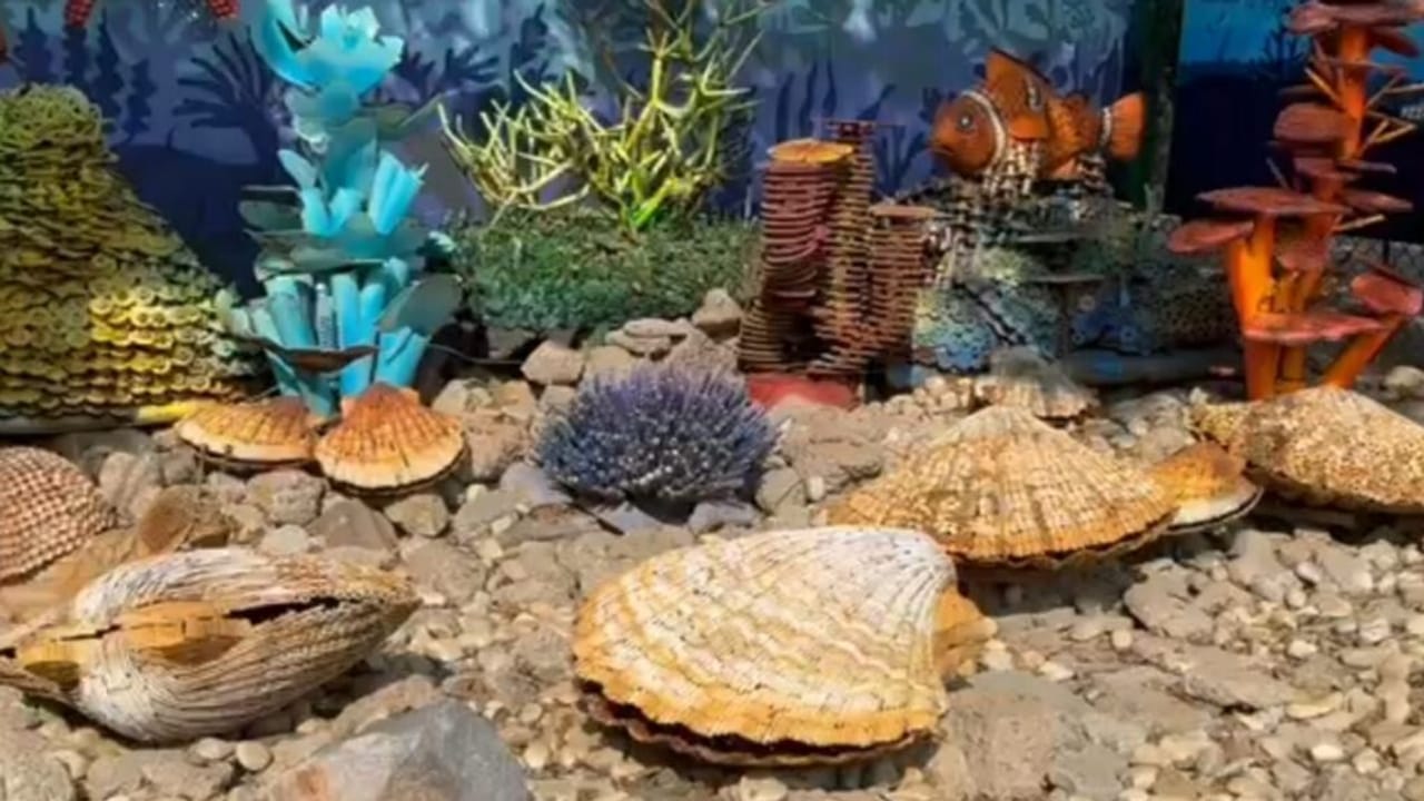 नोएडा में आज से खुल गया जंगल ट्रेल पार्क, कबाड़ से बनी हैं 650 जीव-जंतुओं की प्रतिमाएं, जानें क्या-क्या है सुविधा, PHOTOS