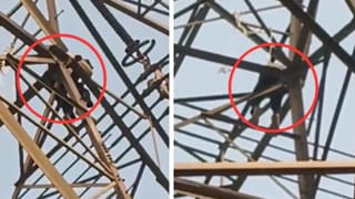 ‘शादी नहीं तो जिंदगी नहीं’… युवती के इनकार करने पर हाई टेंशन टावर पर चढ़ गया युवक; मचा हड़कंप