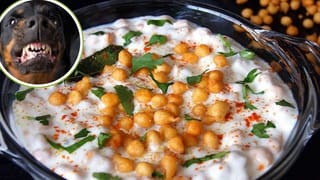 तेरही में जिसके दूध से बना था रायता, रैबीज इंफेक्टेड थी वो भैंस; मौत होते गांव में फैल गई दहशत