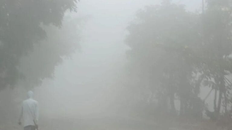 नोएडा, लखनऊ, गोरखपुर... हर जगह ठंड का कहर, UP के लिए अगले 48 घंटे भारी