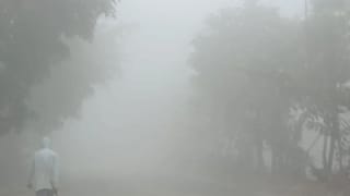 UP के इन जिलों में पड़ेगी भयंकर ठंड, IMD ने जारी किया कोल्ड डे अलर्ट