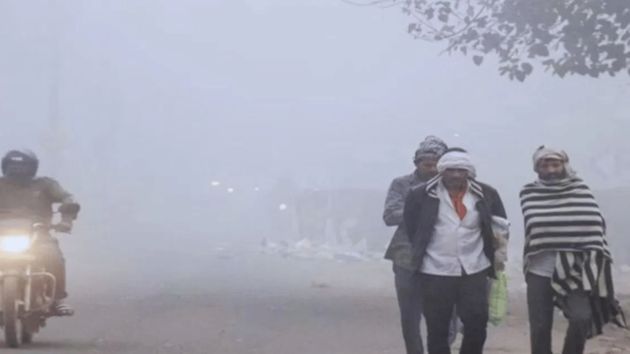 अभी और ठिठुरेगा लखनऊ-कानपुर, 5 डिग्री तक गिर सकता है तापमान, जानें क्या है आपके शहर का हाल