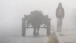 रात में कड़ाके की ठंड, दिन में धूप से थोड़ी राहत; मौनी अमावस्या पर आज UP में कैसा रहेगा मौसम?