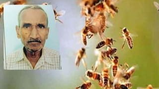 पहले मधुमक्खियों का हमला, बचने के लिए जलाई आग; फिर उसी में गिरकर जल मरे… ऐसे भी आती है मौत