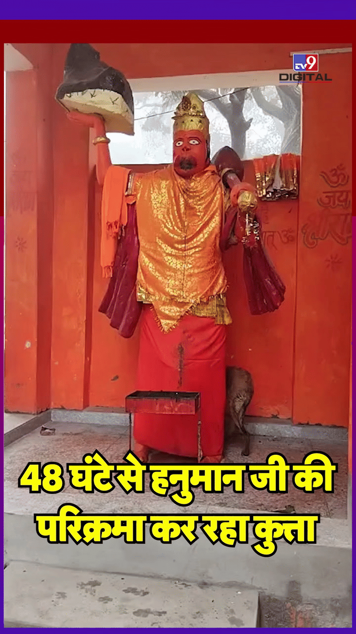 UP: 48 घंटे से हनुमानजी की परिक्रमा कर रहा है कुत्ता