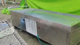 जिसे मृत बताकर डॉक्टरों ने किया डिस्चार्ज, फ्रीजर में रखते ही चलने लगीं सांसे; हैरान कर देगी कहानी