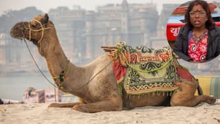 बनारस में मच गई ‘लूट’! कैमल राइडिंग के नाम पर 200 की जगह महिला से वसूले 15000, वायरल Video