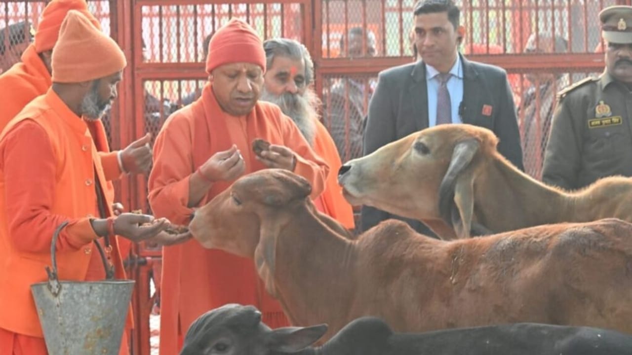 मकर संक्रांति पर बाबा गोरखनाथ को CM योगी का खिंचड़ी प्रसाद, मंदिर पहुंचे 3 लाख श्रद्धालु; देखें Photos