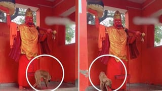 …तो इस वजह से लगातार 5 दिन से भगवान हनुमान-मां दुर्गा की मूर्ति की परिक्रमा कर रहा है कुत्ता, डॉक्टर्स ने बताया