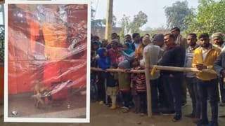 ये कुत्ते को क्या हो गया? लगातार 3 दिन से कर रहा बजरंगबली की परिक्रमा, देखने के लिए उमड़ पड़ी भीड़