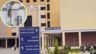 मेडिकल कॉलेज में चूहों की ड्यूटी! ऑक्सीजन पाइप से ऑर्थों वार्ड में लगा रहे राउंड, वायरल हुआ Video
