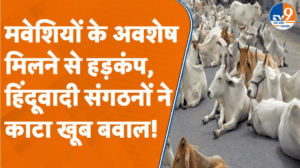 Kanpur में मवेशियों के अवशेष मिलने से हड़कंप, हिंदूवादी संगठनों ने काटा खूब बवाल