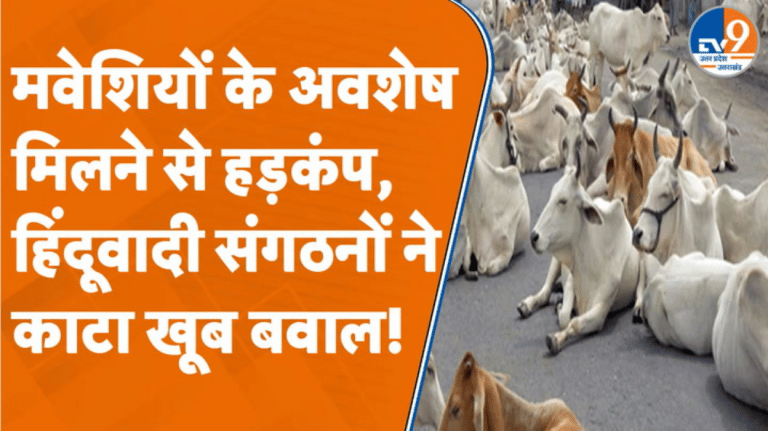 Kanpur में मवेशियों के अवशेष मिलने से हड़कंप, हिंदूवादी संगठनों ने काटा खूब बवाल