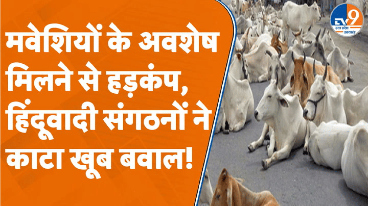 Kanpur में मवेशियों के अवशेष मिलने से हड़कंप, हिंदूवादी संगठनों ने काटा खूब बवाल
