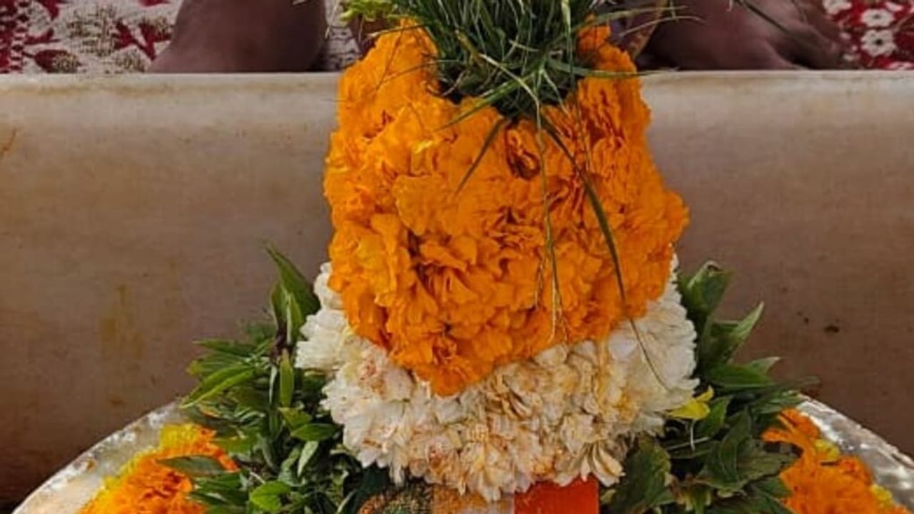 गणतंत्र दिवस पर विश्वनाथ मंदिर में पहली बार ध्वज वंदन, भगवान विश्वनाथ का भी तिरंगा श्रृंगार