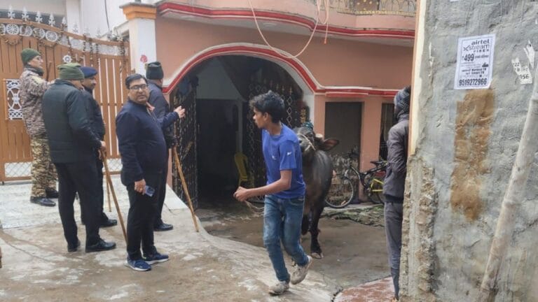 बेडरूम में छुपाईं गाय-भैंस, नगर निगम की कार्रवाई से बचने का अजब तरीका