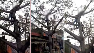 पेड़ की छंटाई कर रहा था युवक, तभी बिजली की तार के जोरदार झटके से झुलसा, चंद सेकंड में ही तोड़ दिया दम
