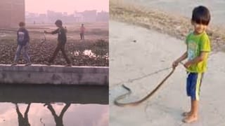 नाले से निकले जहरीले सांप, बच्चों ने देखा तो करने लगे ‘मौत से मस्ती’; हैरान कर देगा वीडियो
