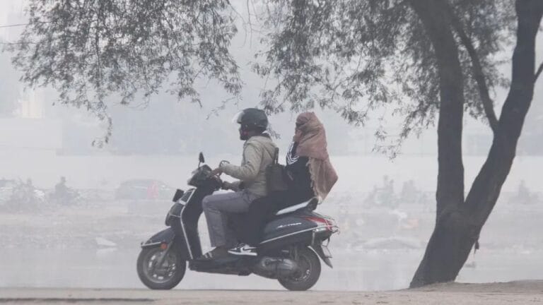 यूपी में बारिश के बाद बढ़ी गलन, इन 22 जिलों में कोहरे का येलो अलर्ट